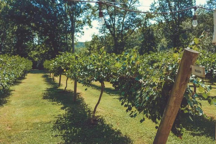 Oasi Kadir